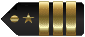 Insignia